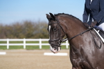 SBM_001858