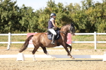 SBM_007574