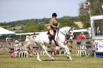SBM_16227