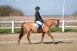 SBM_001978