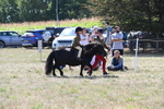WJ6_8076