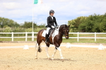 SBM_002956