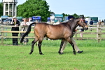 SBM_00938