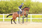 SBM_003950