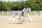 SBM_009651