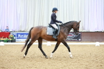 SBM_002564