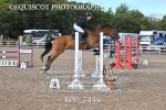 BPP_7446