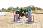 SBM_000193