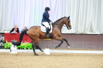 SBM_002948