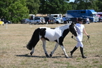 WJ6_8604
