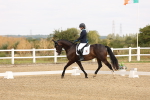 SBM_000290