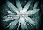 Health Quotes Images portfolio
