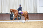 SBM_002426