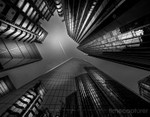 Light In The City