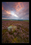 Across the Fells