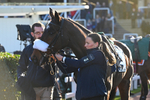 251025-Race 6-Baltic Bird-9696