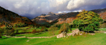 Langdale Pikes and Great Langdale EDC020