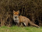 _F7A8865-Edit
