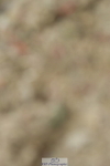 230701A-124321-05810