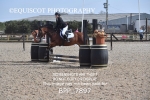 BPP_7897