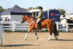 SBM_00507