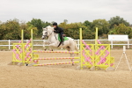 SBM_008660