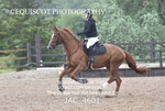 JAC_4601