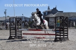 BPP_8035
