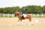 SBM_000913