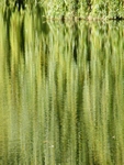 willow waterfall