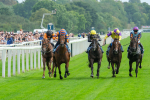 080925-Race 4-Zain Blue-9040