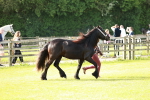 SBM_00690