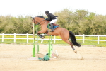 SBM_006035