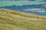 Matterdale-361