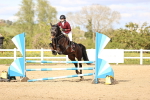 SBM_003966