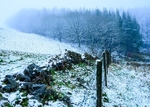 Path through Macclesfield Forest (3)