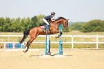SBM_000436
