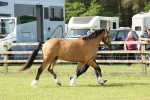 SBM_02086
