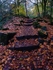 Hebers Ghyll