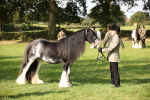SBM_62251