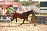 SBM_08198
