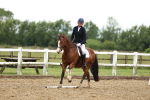 SBM_001014