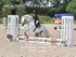 BPP_1469