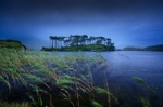 Whispers In The Wind