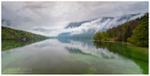 Reflections Lake Bohinj, Slovenia (IMG0862)