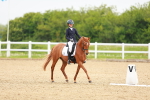 SBM_005202