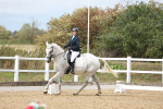 SBM_003775