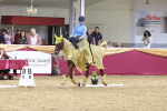 SBM_09832