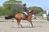 BPP_3828