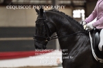 BPP_9339